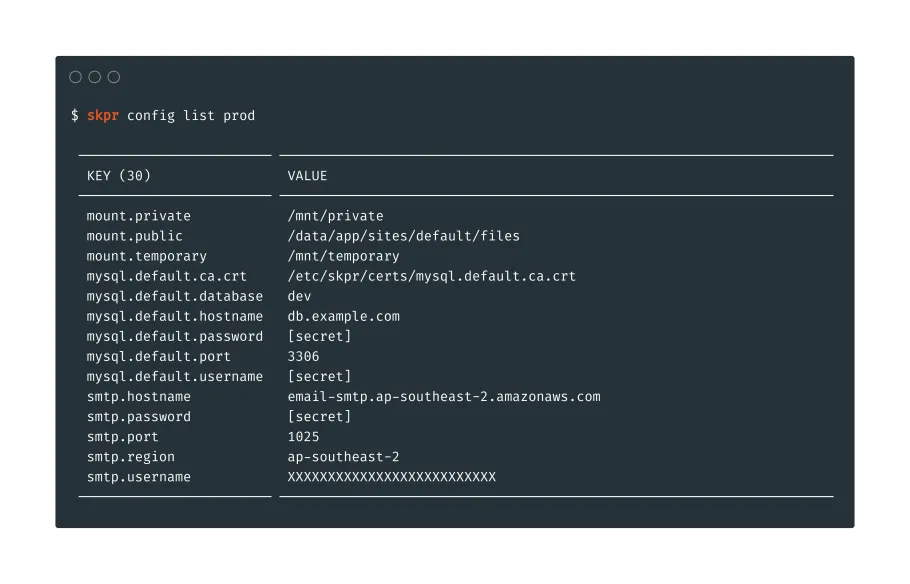 A terminal showing the output from Skpr config list.