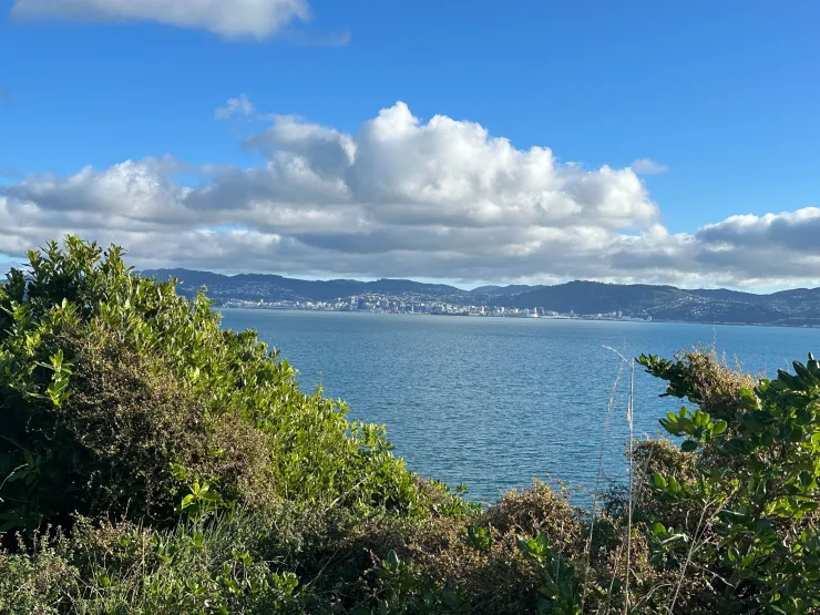 View of Wellington