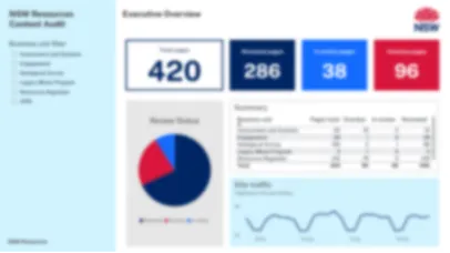 PowerBI dashboard executive overview report