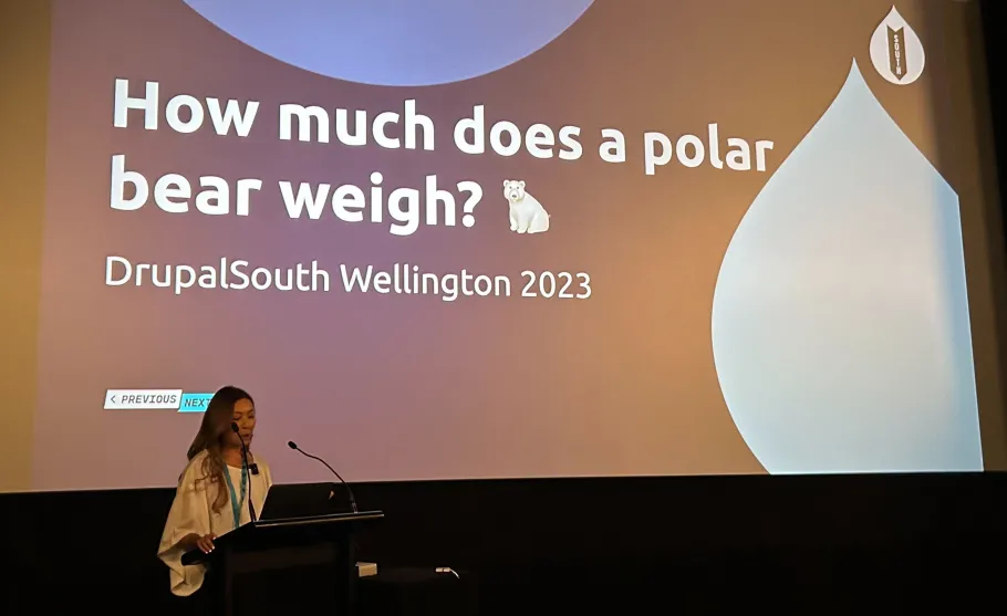 Fonda presents at DrupalSouth Wellington 2023